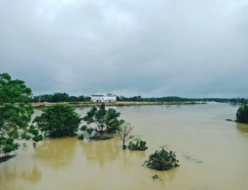 Nhớ hoài con sông quê